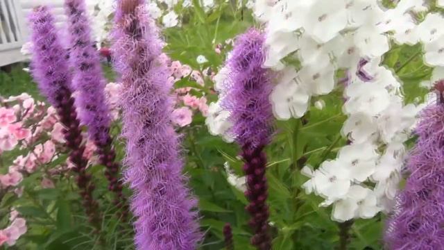 Посёлок «Белое озеро» от компании «Красивая Земля». Я ещё как доволен смотреть онлайн