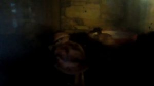 Отличие ахатин и архахатин особенности и нюансы содержания