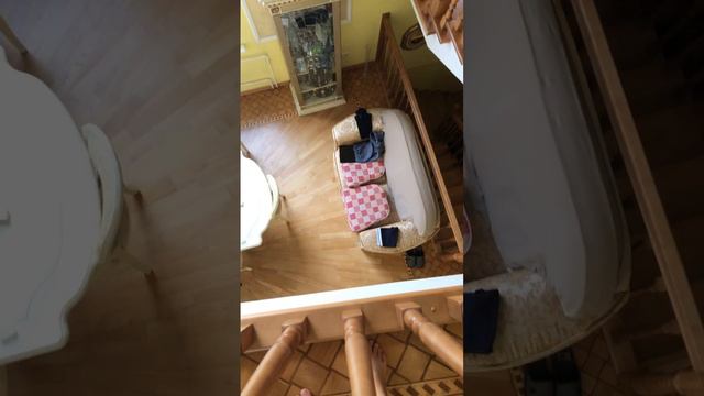 попрыгунчик прошёл испытание смотреть онлайн