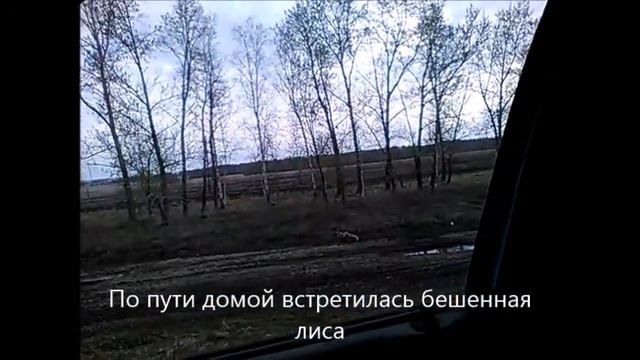 Широтная зональность