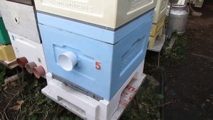 почему я выбираю верхнюю вентиляцию для зимовки пчел на воле - какие летки открыты в улье в октябре
