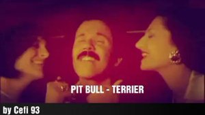 Pit bull terrier mp3