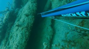 Горбыль - 2018г. Подводная охота в Крыму.