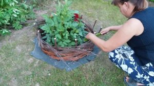 Ограждение для клумбы - плетеная корзина. Пошаговая инструкция.