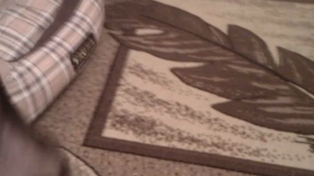 Густик, самый умный той терьер))) смотреть онлайн