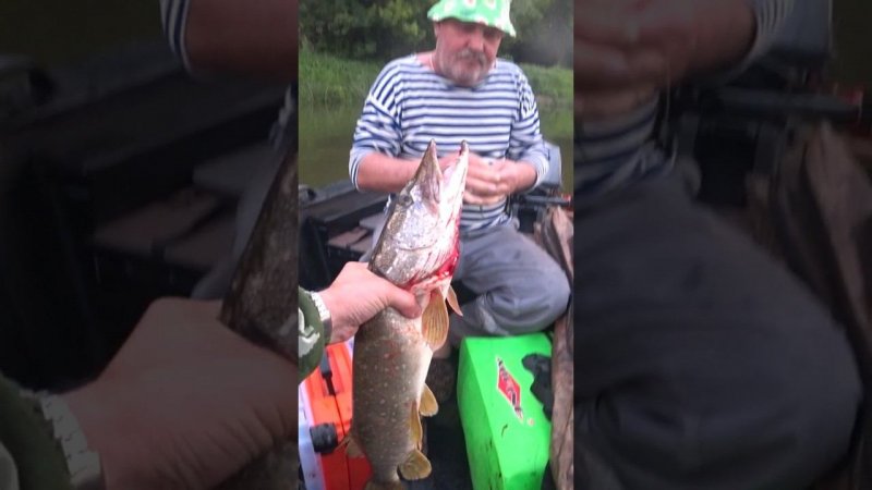 щука на bomber long a 24 #рыбалка #fishing
