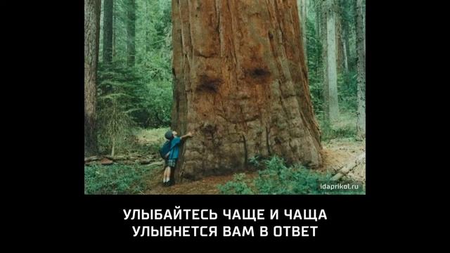 Прикольные картинки №12 #ФотоПриколы