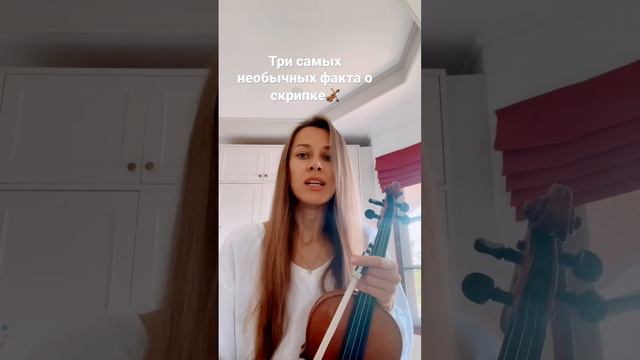 Три самых необычных факта о скрипке🎻