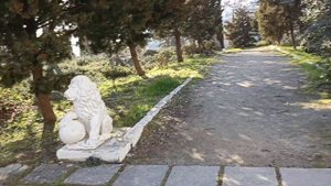 Ялта пгт.Понизовка Смена