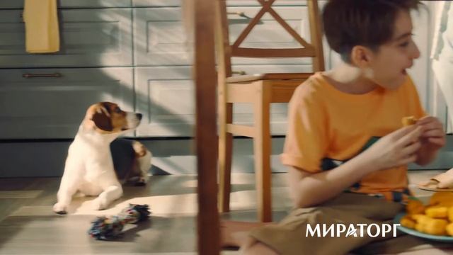 МИРАТОРГ "Похитители наггетсов" ролик 4 смотреть онлайн