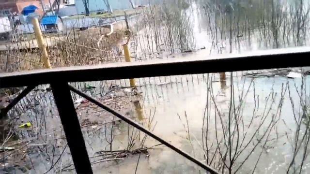 Ижевск 2016 ул. Магистральная после зимы смотреть онлайн