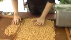 Делаю лечебный пшеничный #солод. #Витграс. Выращивание