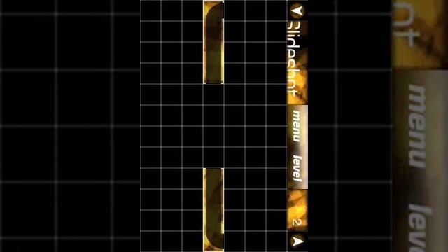 Slideshot Level 2