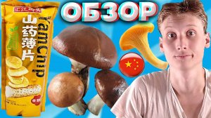 ГРИБНОЙ ВКУС ЧИПСОВ ОТ КИТАЙЦЕВ | YAMCHIP СНЕКИ ИЗ КИТАЯ | БАТАТ | ЯМСА РАСТЕНИЕ | ОБЗОР