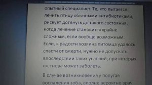 Воспаление зоба у попугаев