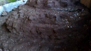 Место где похоронен Гай Юлий Цезарь в Риме.