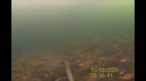 Самодельные зимние блесны. Подводная съемка работы блесен. Рыбалка сезона 2021.