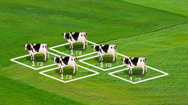 Мал жаюу планын иштеп чыгуу смотреть онлайн