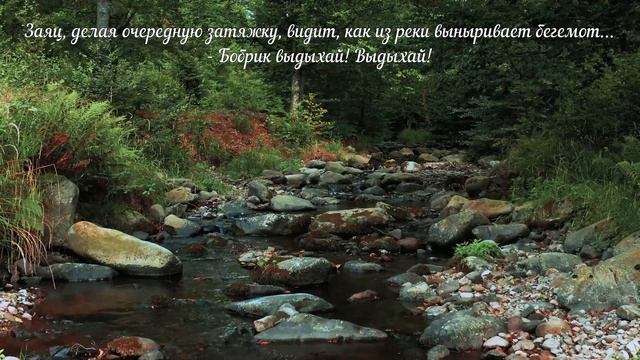 Анекдоты сборник№ 12 смотреть онлайн