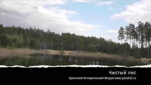 Карачевский район, лесное озеро в д. Мыленка (2 мая 2016г)