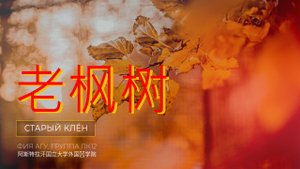 Песня «Старый клён» / «老枫树»