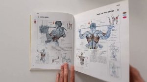 Strength Training ANATOMY - Frédéric Delavier | Book Review | Learn To Draw Anatomy