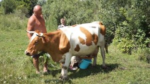 Раным-рано по утру пастушок ту-ру-ру-ру. Русская народная песня.