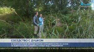 Запах в Рыбацком. Запах гари. Химический запах. Петербург