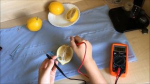 Как сделать батарейку из лимона?