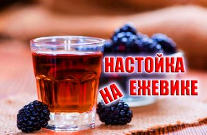 Рецепт настойки самогона на ежевике