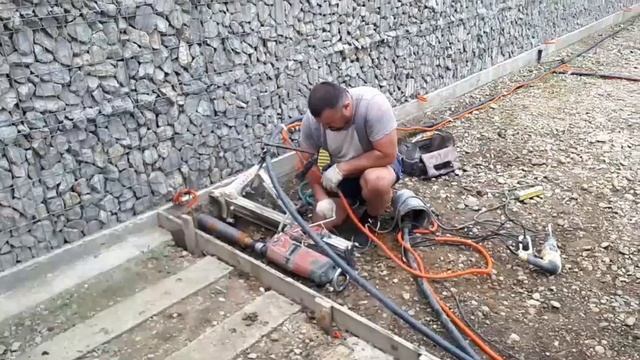 Озеленение придомовой территории. Робиния лжеакация.