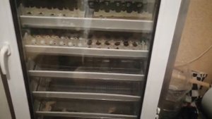 Отзыв о инкубаторе Бони после 4 лет использования.