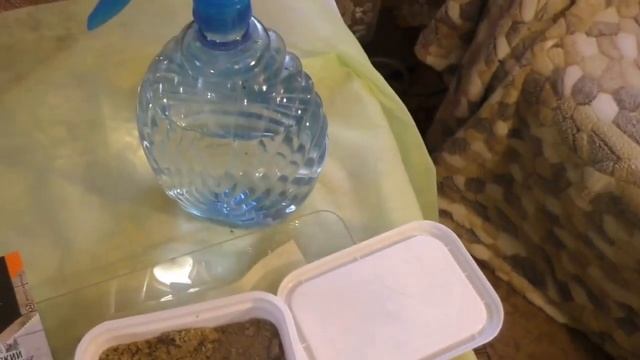 Чай с чабрецом  или как вырастить чабрец  из семян?  Тимьян ползучий или чабрец.