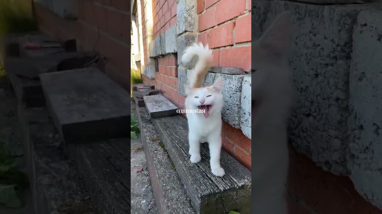 Как ощущается лето в деревне ❤️ смотреть онлайн