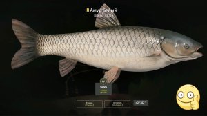 Русская рыбалка 4 -оз. Медвежье!