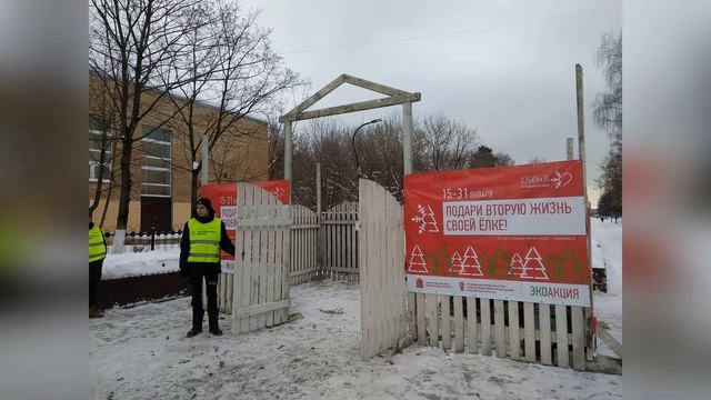 Подари ёлке вторую жизнь смотреть онлайн