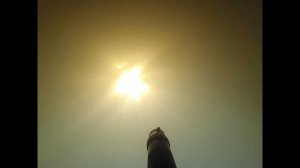 Подводная охота на белого амура.