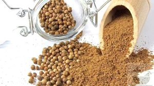 Лечебные свойства Кориандра кинзы