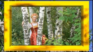 Я акация, я над кручею, расцвела на краю села