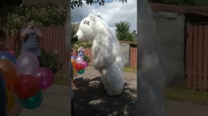 Родители поздравили детей с ДНЁМ РОЖДЕНИЯ. Большой белый медведь. Аэромедведь. Лучший день рождения