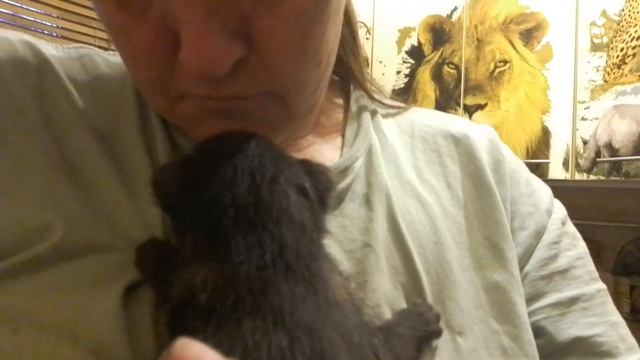 03.06.23. угадайка... смотреть онлайн