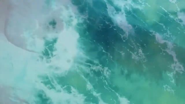 Relax music and sharks - a good dose to relieve tension and stress смотреть онлайн