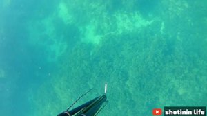 Подводная рыбалка в черном море