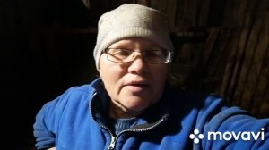 МОИ ПЕРВОТЕЛКИ-МЕЧТА ЛЮБОГО ЖИВОТНОВОДА!ПРОБЛЕМЫ С ГОЛШТИНКОЙ!ВЕЧЕРНЯЯ ДОЙКА КОРОВ И КОРМЛЕНИЕ ТЕЛЯ