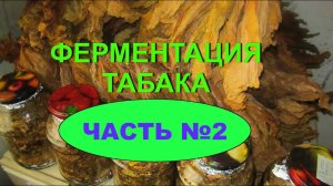 ФЕРМЕНТАЦИЯ ТАБАКА ЧАСТЬ № 2