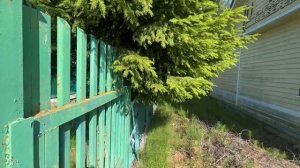 Покупаем старую дачу.