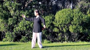 Тайчи - Цигун 5 минут в день - наматывание шелковой нити