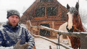КУПИЛИ ДОМ В ДЕРЕВНЕ. ХОЗЯЙСТВО ПОПОЛНЯЕТСЯ В СНЕГОПАД. ОКОТ ЕЩЕ ОДНОЙ КОЗЫ.