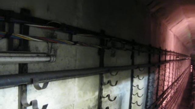 Перегон метро Красногвардейская -  Алма-Атинская