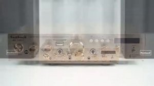 Sunbuck Audio Amplifier Bluetooth EQ Karaoke FM 2000W - AV-338ST